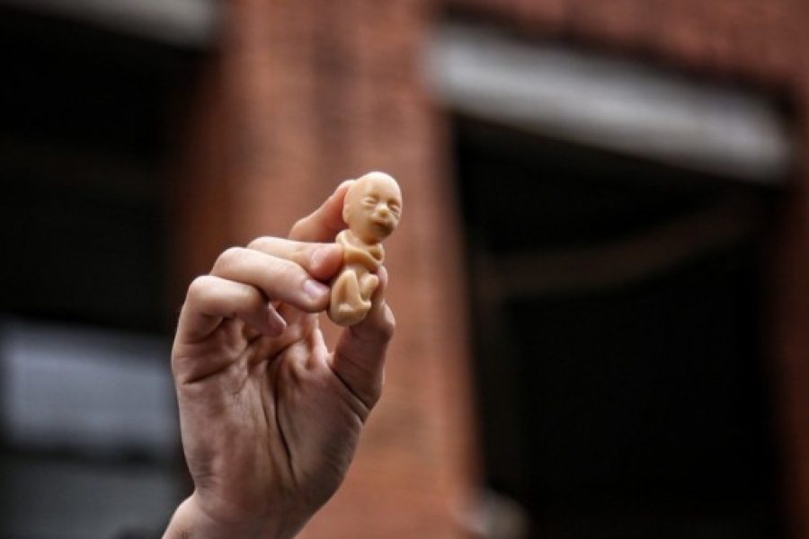 1_166e3bbd_c1e2_4556_b2fb_8a14dae2caa7-17006 1_166e3bbd_c1e2_4556_b2fb_8a14dae2caa7-17006