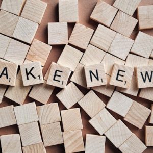 1_fake_ga34dcd21f_1920_1-98113