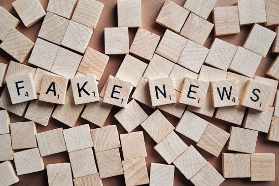 1_fake_ga34dcd21f_1920_1-98113 1_fake_ga34dcd21f_1920_1-98113