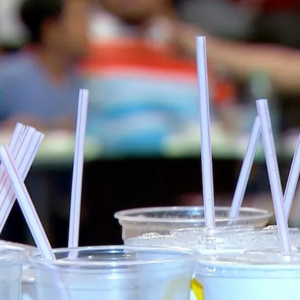 IMAGENS PARA O SITE (1)