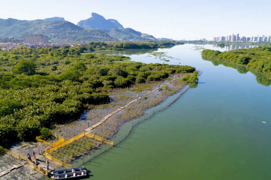 IMAGENS PARA O SITE (1)