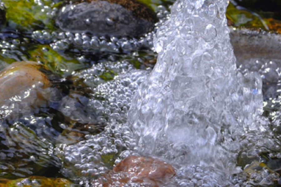 IMAGENS PARA O SITE (1)