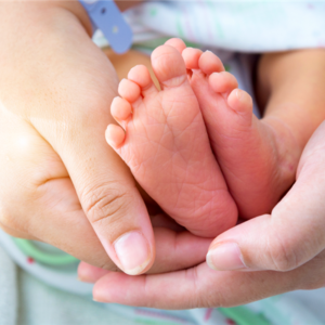 IMAGENS PARA O SITE (1)