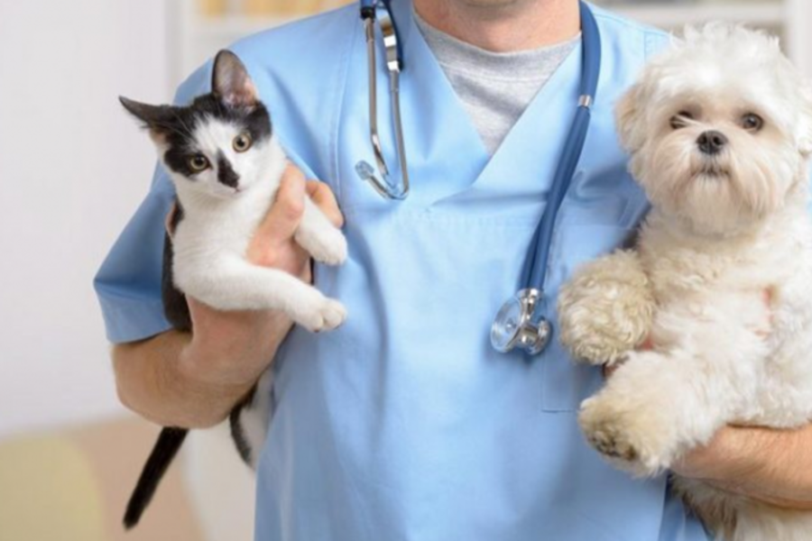 IMAGENS PARA O SITE (14)