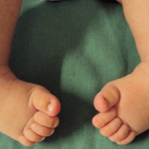 IMAGENS PARA O SITE (15)