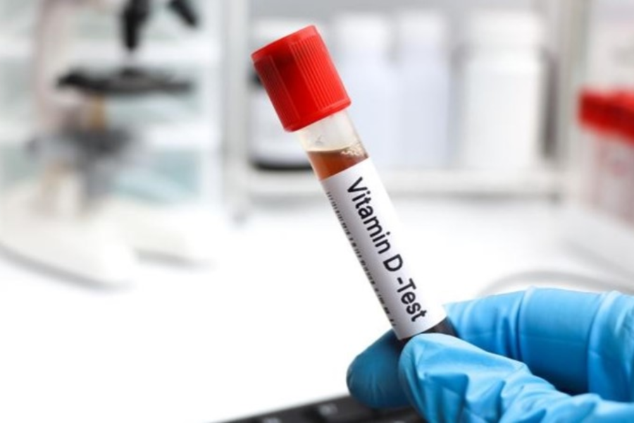 IMAGENS PARA O SITE (2)