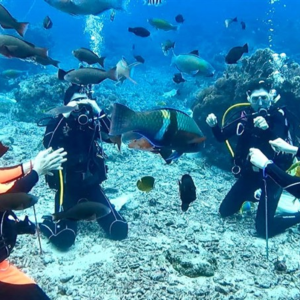 IMAGENS PARA O SITE (2)