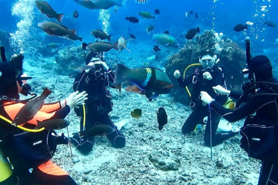 IMAGENS PARA O SITE (2)