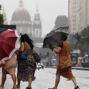 IMAGENS PARA O SITE - 2026-09-17T115331.767