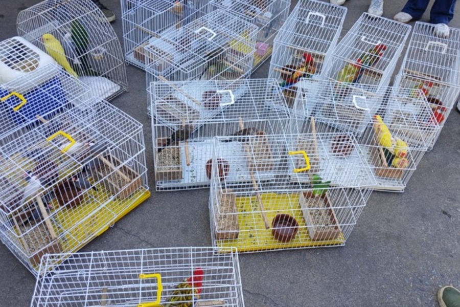 IMAGENS PARA O SITE (3)