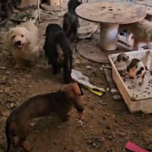 IMAGENS PARA O SITE (3)