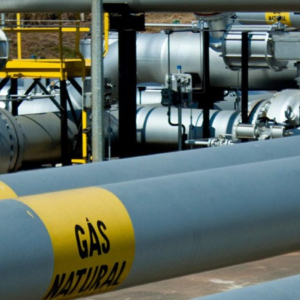 IMAGENS PARA O SITE (6)