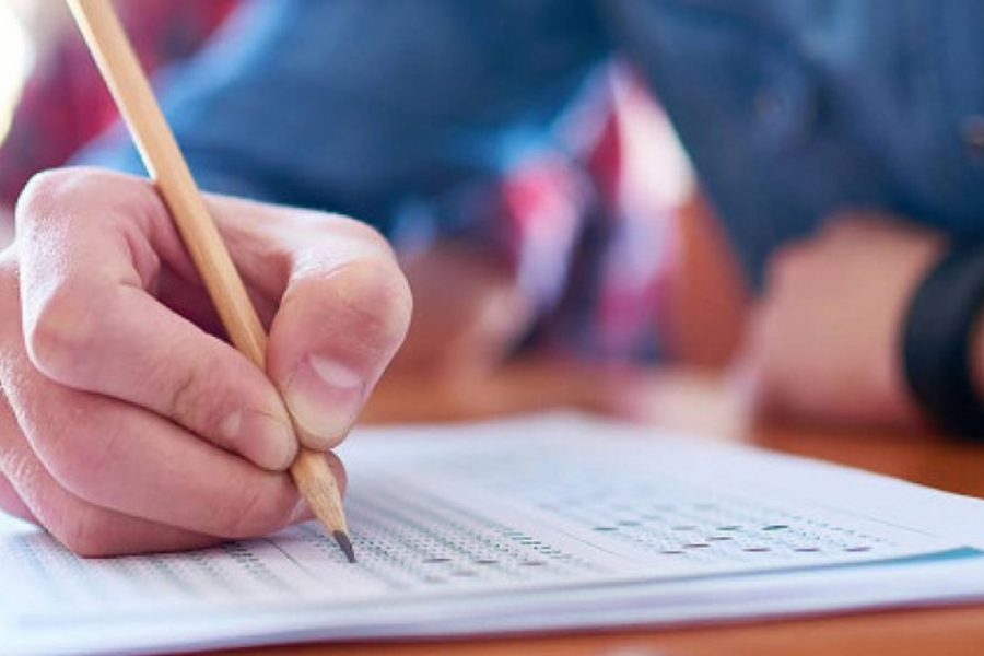 IMAGENS PARA O SITE (8)