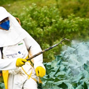 IMAGENS PARA O SITE (8)