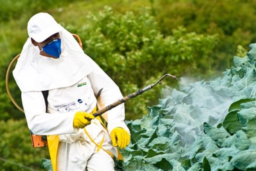 IMAGENS PARA O SITE (8)