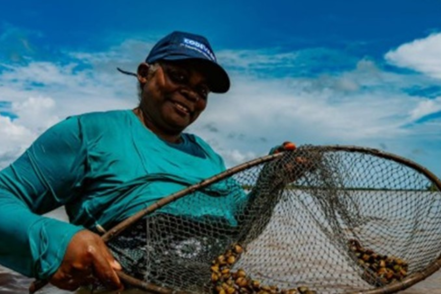 IMAGENS PARA O SITE (9)